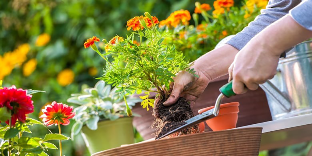 gardening