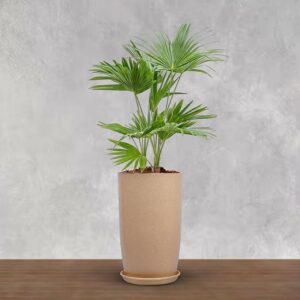 BonKaso 18 inch Beige Marble Finish Flower Pot – Tall, Durable & Lightweight Polymer Tower Planter for Indoor & Outdoor Use: Home, Office, Garden & Balcony (Gamla/Gamale)